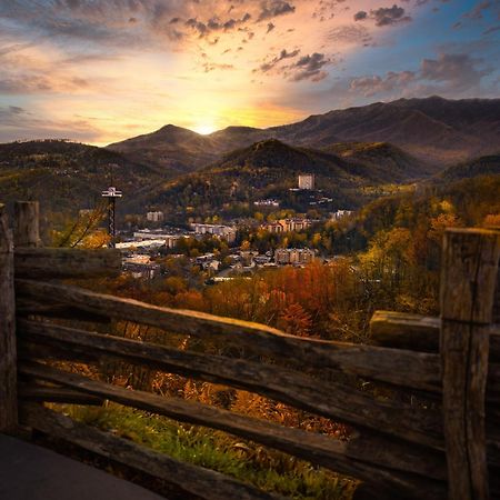 Heavenly Bear, Hot Tub, 1089 Of Free Attraction Tickets For Each Paid Day, Dollywood And More Sevierville Exterior photo