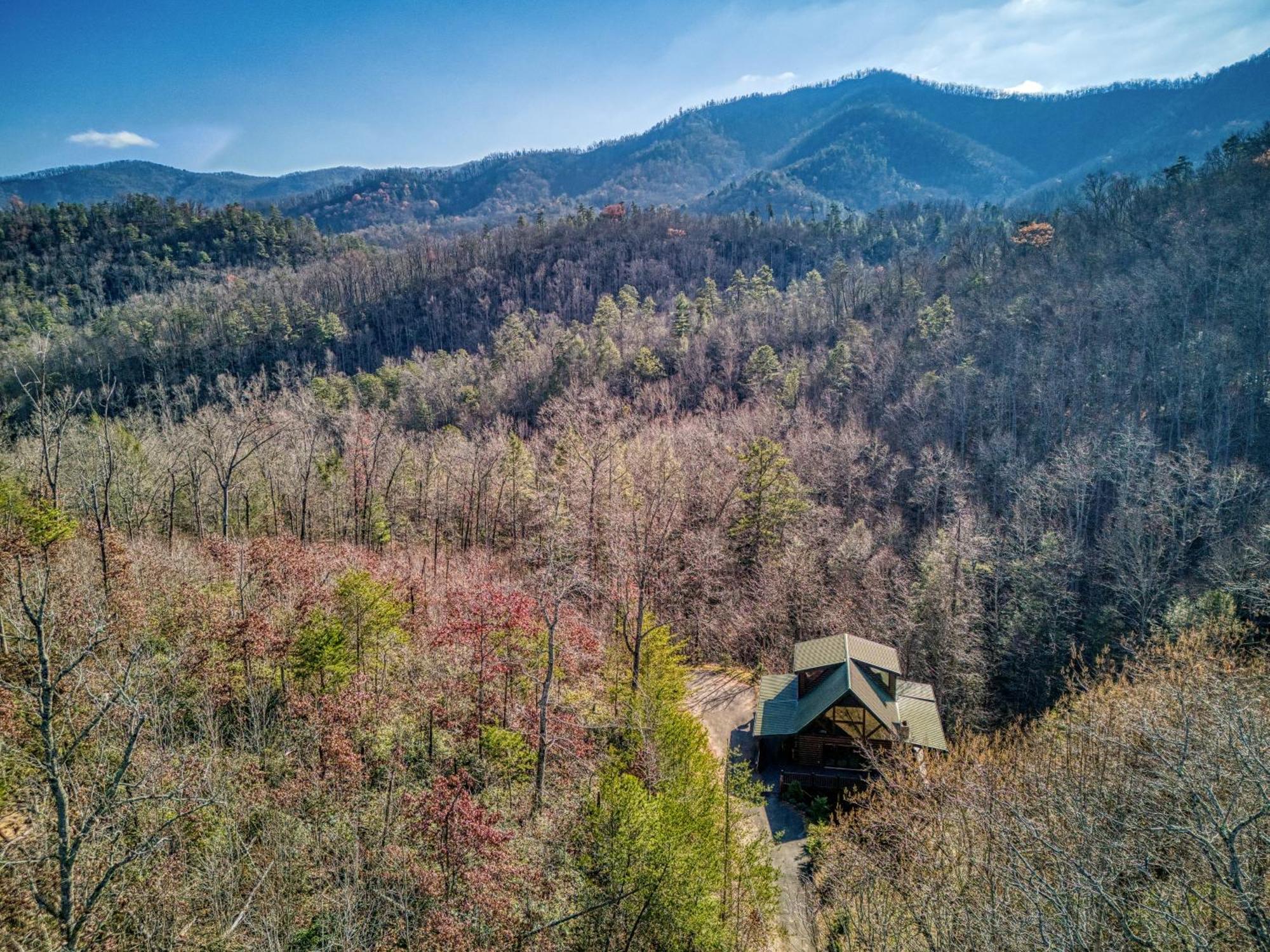 Heavenly Bear, Hot Tub, 1089 Of Free Attraction Tickets For Each Paid Day, Dollywood And More Sevierville Exterior photo