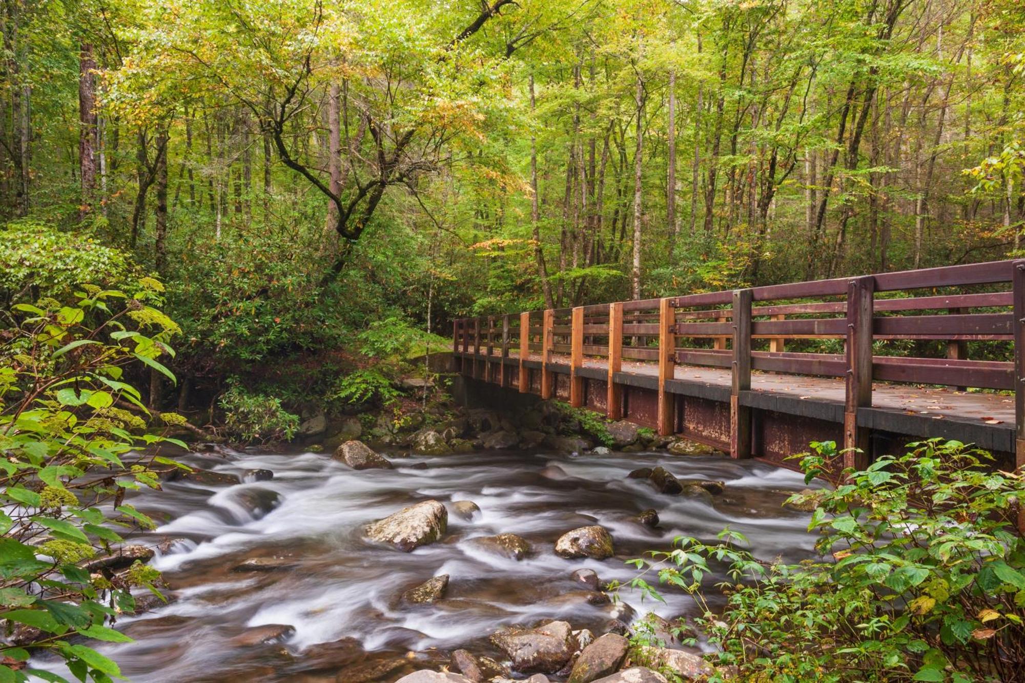 Heavenly Bear, Hot Tub, 1089 Of Free Attraction Tickets For Each Paid Day, Dollywood And More Sevierville Exterior photo